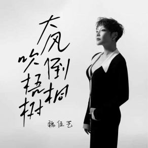 Download track 大风吹倒梧桐树 (女版) 魏佳艺