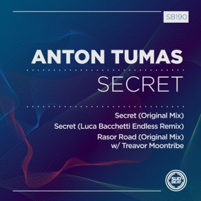 Download track Secret (Luca Bacchetti Endless Remix) Anton TumasLuca Bacchetti