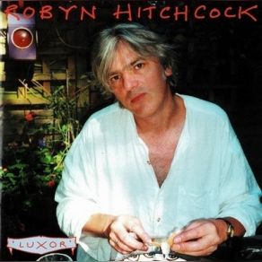 Download track OneL' Robyn Hitchcock