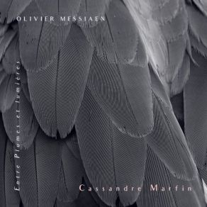 Download track Catalogue D'oiseaux, 7e Livre- XI. La Buse Variable Cassandre Marfin