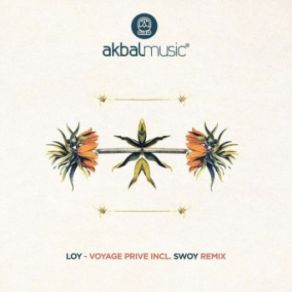 Download track Voyage Prive (Original Mix) Loy