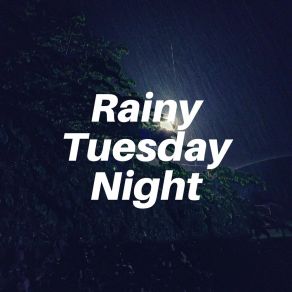 Download track Beautiful Rain Sounds For Peaceful Nights, Pt. 30 Rain Sounds For Sleep Aid
