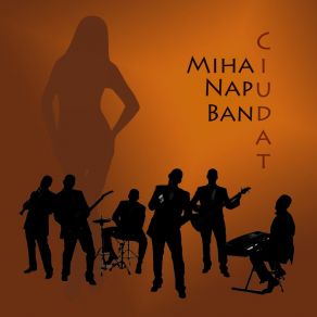 Download track Ciudat Mihai Napu Band