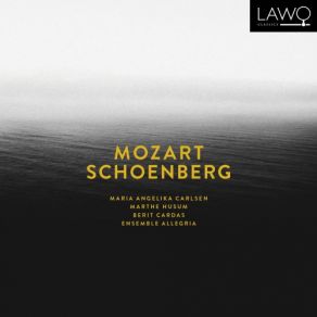 Download track Verklärte Nacht, Op. 4 Ensemble Allegria, Maria Angelika Carlsen