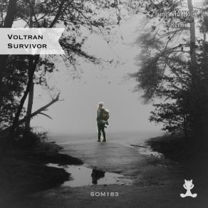 Download track Survivor (Original Mix) Voltran