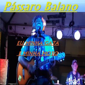 Download track Eu Só Quero Você Pássaro Baiano