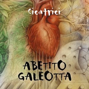 Download track Benedetta Nuova Vita Manlio Agostini