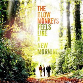 Download track Feels Like A New Morning The Blow Monkeys