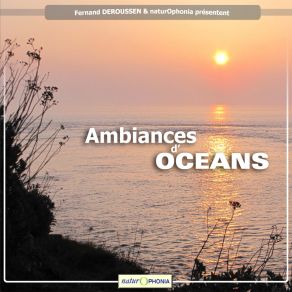 Download track Souffle De Baleine Fernand Deroussen