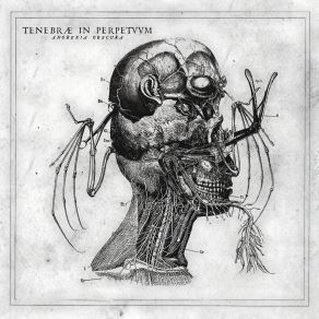 Download track Silicio Freddo Tenebrae In Perpetuum