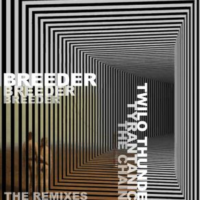 Download track The Chain (Zstimer & Wru Remix) The BreederZstimer & Wru