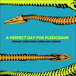 Download track Plesiosaur Primary Substance