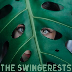 Download track Swingy The Swingerests