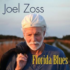 Download track Goodnight Irene Joel Zoss