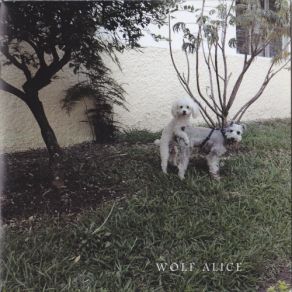 Download track Every Cloud Wolf Alice