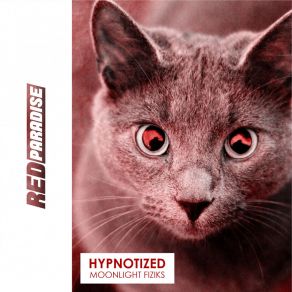 Download track Hypnotized Moonlight Fiziks