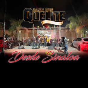 Download track Camino De Guanajuato Banda Puro Quelite