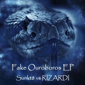 Download track Fake Ouroboros RIZARDI