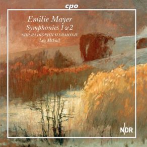 Download track Symphony No. 1 In C Minor II. Adagio NDR Radiophilharmonie, Leo Mcfall