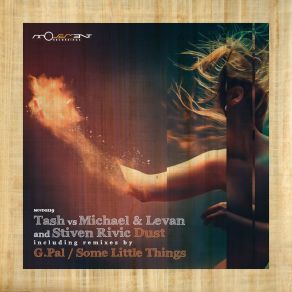 Download track Dust (Some Little Things Remix) Tash, Stiven Rivic, Michael & Levan