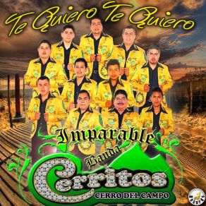 Download track El Sancho Imparable Banda Cerritos Cerro Del Campo