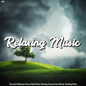 Download track Restoration Meditation Relaxing Music Therapy