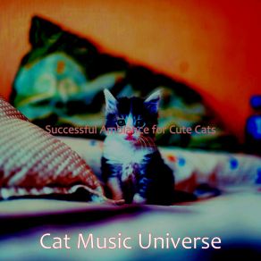 Download track Sultry Solo Piano Jazz - Vibe For Cats Cat Music Universe