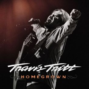 Download track Modern Day Bonnie And Clyde Travis Tritt