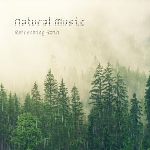 Download track Rain On Green Trees Refreshing Rain