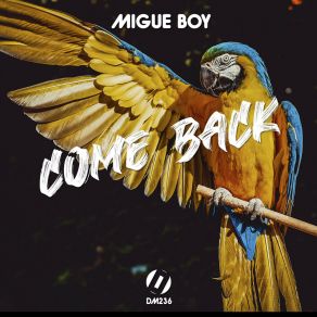 Download track Come Back (Original Mix) Migue Boy