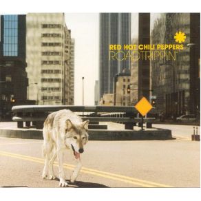 Download track Under The Bridge (Live)  The Red Hot Chili Peppers