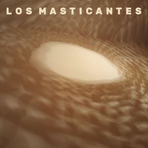 Download track Percusivación En El Infinito Los Masticantes