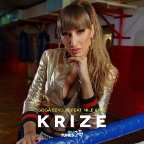 Download track Krize Goga Sekulic