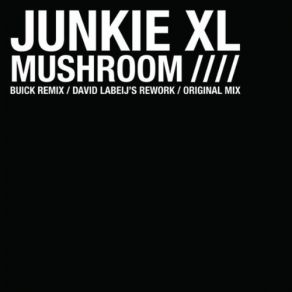 Download track Mushroom (Remix) Junkie XLBuick Project