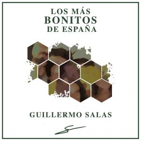 Download track Viento A Favor Guillermo Salas