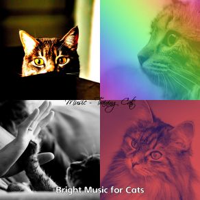 Download track Music - Carefree Bright Music For Cats