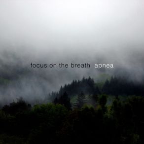 Download track Avoid Focus On The Breath, Thiago Fuc