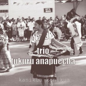 Download track Jikin Ta Wekaska Trío Tukuru Anapuecha