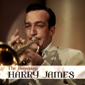 Download track You Can Do No Wrong Harry James