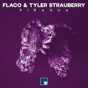 Download track Slow Drip Tyler Strauberry