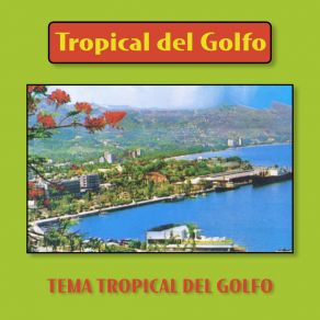 Download track Ámame O Déjame (Remasterizado 2023) Tropical Del Golfo