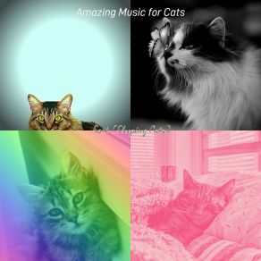 Download track Inspired (Music) Amazing Music For CatsThe Music