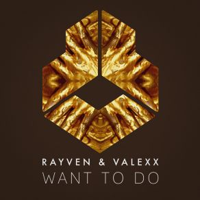 Download track Want To Do Rayven & Valexx