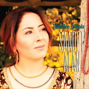 Download track Hey Ağalar Hangi Derde Yanayım Saadet Alan