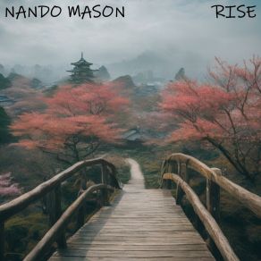 Download track Stand Up And Rise Nando Mason