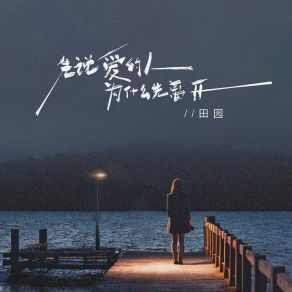 Download track 先说爱的人为什么先离开 (DJ京仔版) Tian Yuan