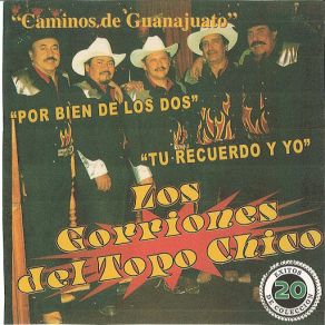 Download track Me Toco Perder Los Gorriones Del Topo Chico