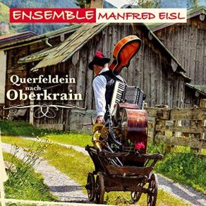 Download track Fantasien In Dur Und Moll Ensemble Manfred Eisl