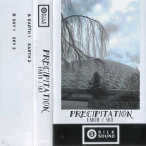 Download track Earth 2 Precipitation