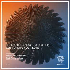 Download track Got To Have Your Love (Andrey Exx & Troitski Remix) Deepjack, Inner Rebels, Mr. NuAndrey Exx